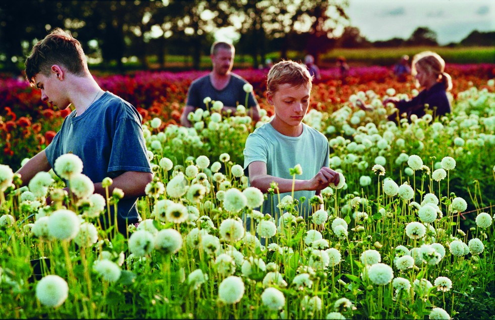 To unge gutter i en blomstereng og utydelige personer i bakgrunnen