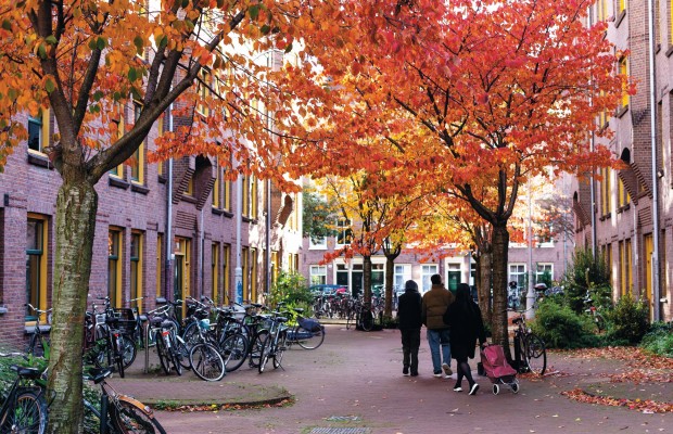 Gatemiljø med trær med høstfargede blader